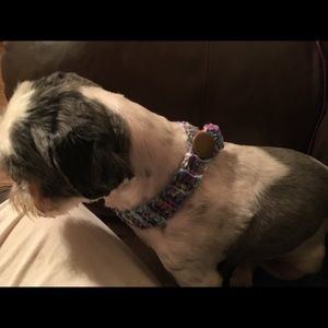 Crocheted Dog Collars
